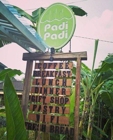 Padi Padi
